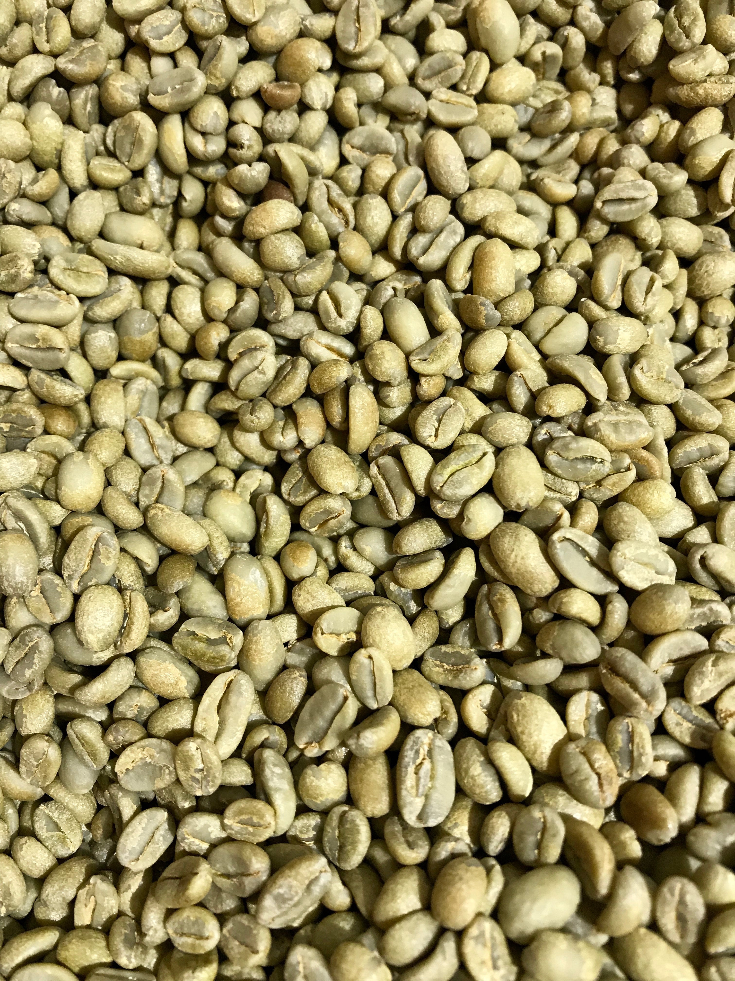 Photo of Green Coffee: Honduras Monte Vista Directo Natural