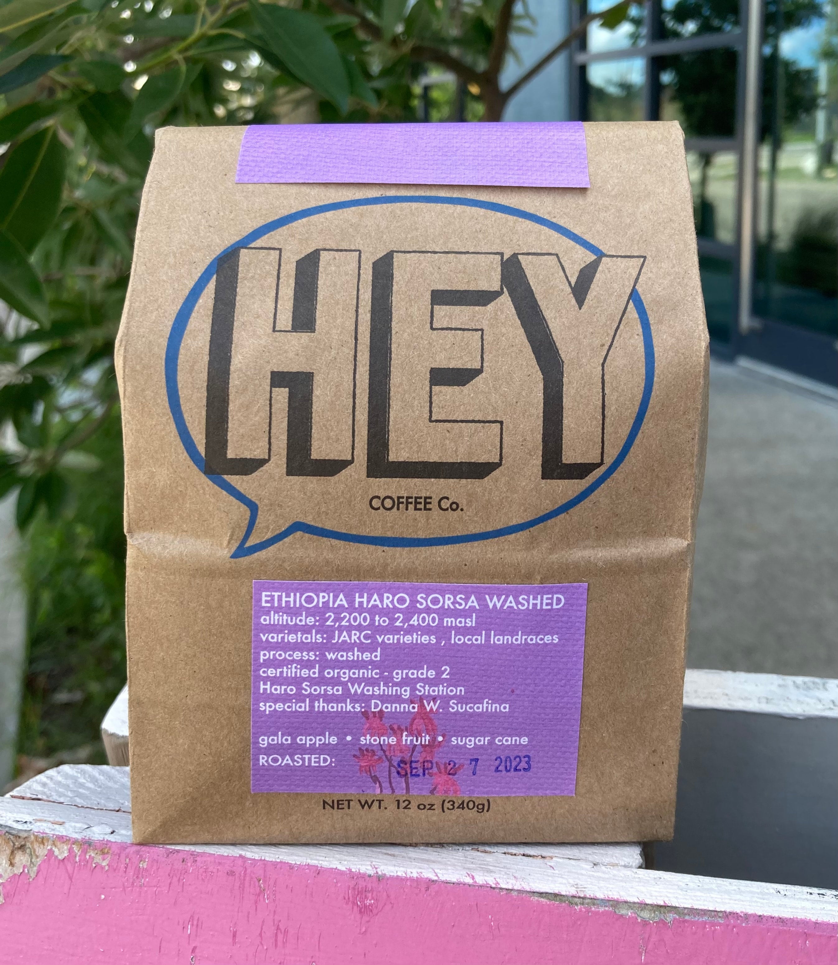 Photo of Ethiopia Haro Washed